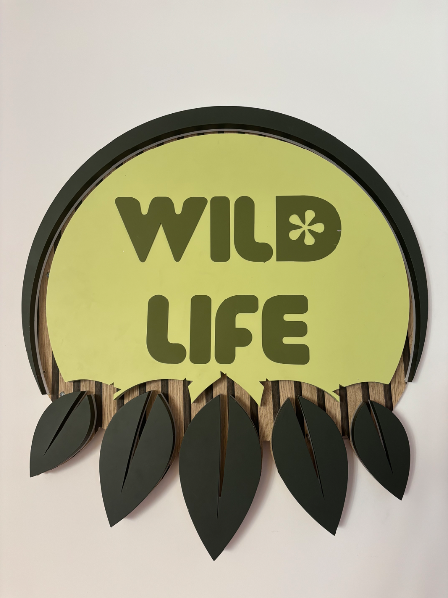 Wildlife Millions Logo